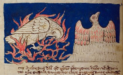 CCA-LitMs/D/10 fol. 17v Pheonix, Bestiarysta tekijältä English School