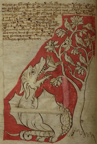 CCA-LitMs/D/10 fol. 23v Perindens Tree, Bestiarysta tekijältä English School