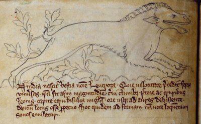 CCA-LitMs/D/10 fol. 3v Leucrota, Bestiarysta tekijältä English School
