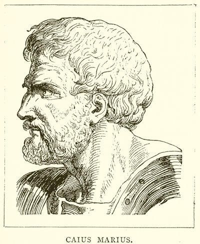Caius Marius tekijältä English School