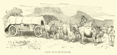Cape Bullock-vaunu tekijältä English School