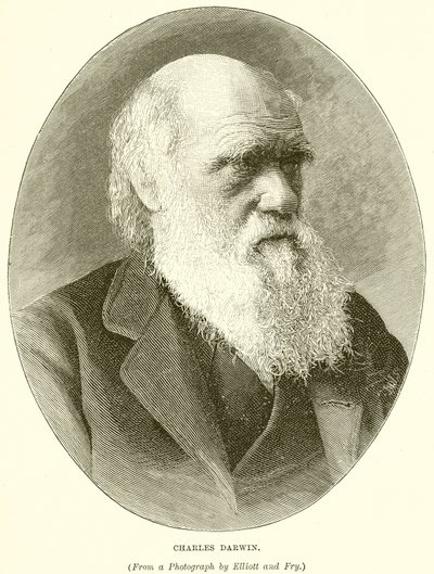 Charles darwin tekijältä English School