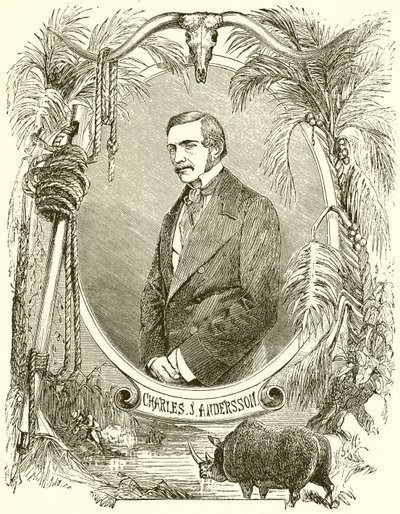 Charles J Anderson tekijältä English School