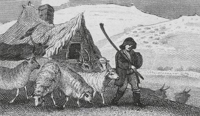 Cheviot Shepherds (kaiverrus) tekijältä English School
