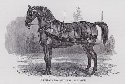 Cleveland Bay State Carriage-Horse (kaiverrus) tekijältä English School