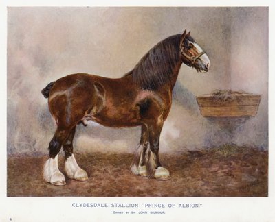 Clydesdalen ori "Prince of Albion" tekijältä English School