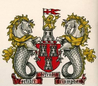Vaakuna, Newcastle-on-Tyne, Englanti tekijältä English School