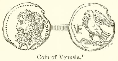 Venusian kolikko tekijältä English School
