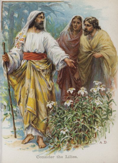 Harkitse liljoja (chromolitho) tekijältä English School