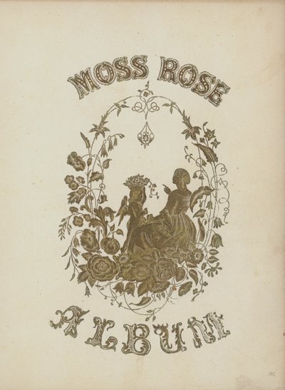 Moss Rose -albumin kansikuvitus (värilitro) tekijältä English School