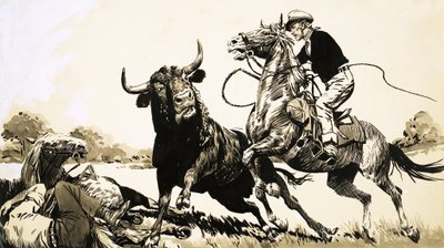 Cowboyt Australian takamailla yrittävät köytää härän tekijältä English School