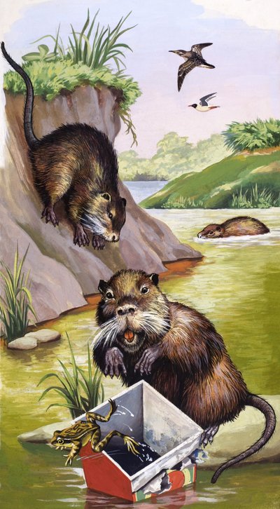 Coypu tekijältä English School