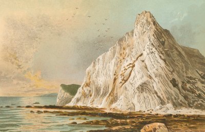 Culver Cliff - Isle of Wight tekijältä English School