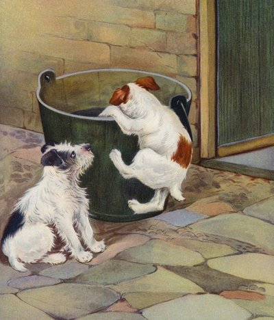 Uteliaisuus (värilitra) tekijältä English School