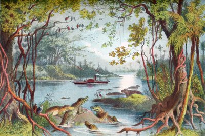 David Livingstonen laiva Ma-Robert Zambezi-joella, Afrikassa, hänen Zambezi-matkansa aikana 1800-luvulla. The Life and Explorations of Dr. Livingstone julkaistu n.1875. tekijältä English School
