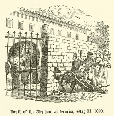 Elefantin kuolema Genevessä, 31. toukokuuta 1820 tekijältä English School