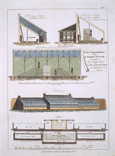 Suunnittelu kahdelle persikoille ja vihreälle talolle, 1806 tekijältä English School