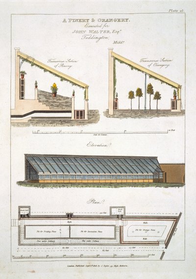 Suunnittelu mänty- ja appelsiinitarhalle Teddingtonissa, 1806 tekijältä English School