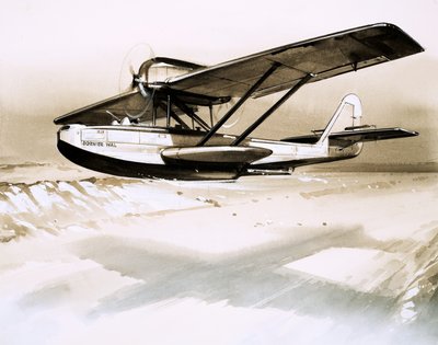 Dornier Wal, kaksimoottorinen saksalainen lentävä vene tekijältä English School