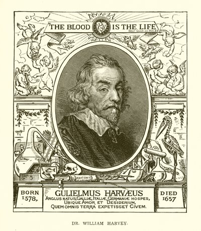 Tohtori William Harvey tekijältä English School