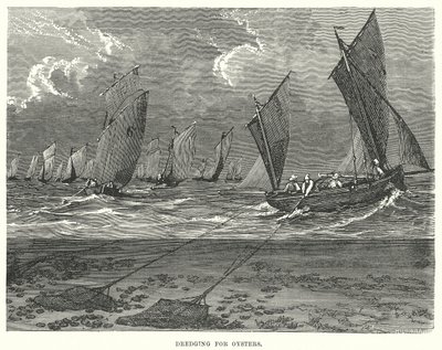 Osterien ruoppaaminen (kaiverrus) tekijältä English School