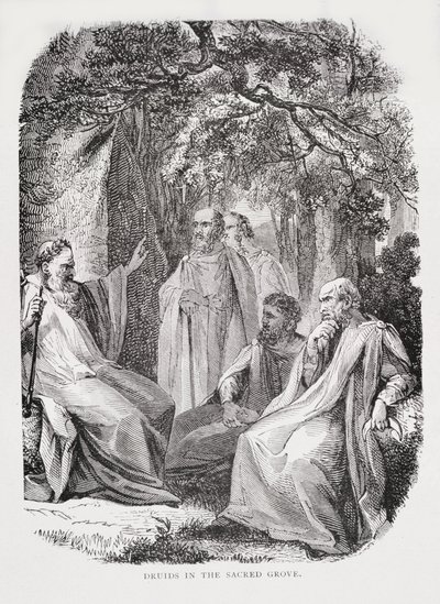 Druidit pyhässä lehdossa, Ranskan historiasta, Emile de Bonnechose, julkaisija Ward, Lock and Co, Lontoo tekijältä English School