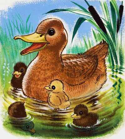 Ducksfinn tekijältä English School