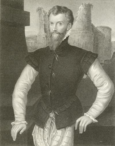Edward Courtenay, Devonshiren kreivi tekijältä English School