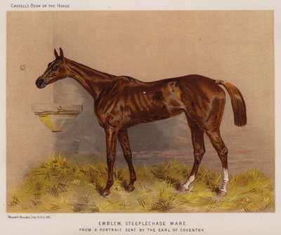 Tunnus, estejuoksu tamma (väri litho) tekijältä English School
