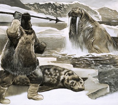 Eskimo hyökkää mursun kimppuun tekijältä English School