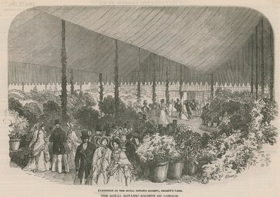 Royal Botanic Societyn näyttely tekijältä English School