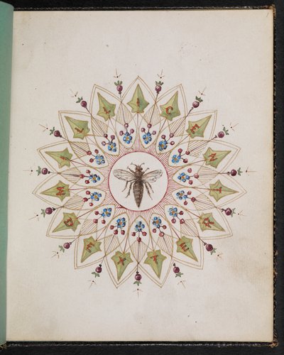 F.1: Hyönteiset mallissa. Luonnoskirja, jossa on kohtauksia Charles Dickensin tarinoista (akvarelli paperille) tekijältä English School