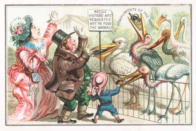 Lintujen ruokinta eläintarhassa, joulukortti tekijältä English School