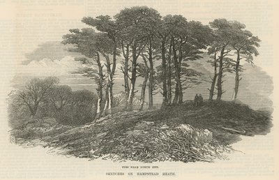 Kuusi lähellä pohjoispäätä, Hampstead Heath tekijältä English School
