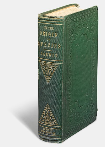 Ensimmäinen painos "Lajien alkuperästä luonnollisen valinnan keinoin", Charles Darwin, Lontoo: John Murray tekijältä English School