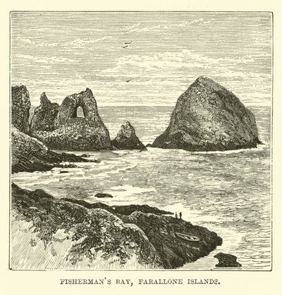 Fishermans Bay, Farallonsaaret tekijältä English School