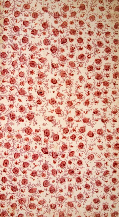 Floral Endpaper käsinvärinen kaiverrus. tekijältä English School