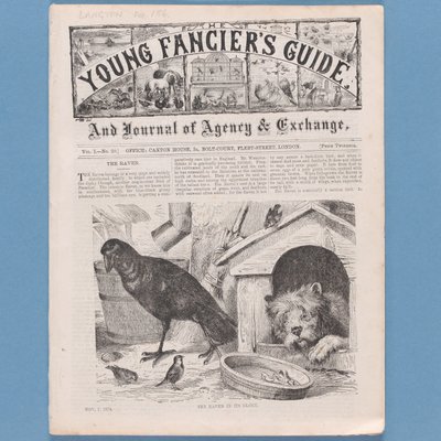 Etukappale The Young Fanciers Guide -oppaasta, 1874 (katso myös 315145) tekijältä English School