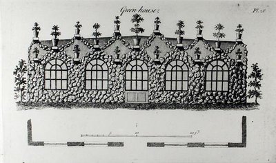 Green-house, William Wrighten "Grotesque Architecture or Rural Amusement", julkaistu 1825 (kaiverrus) (m/w kuva) tekijältä English School