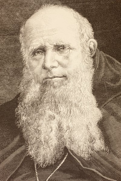 Guglielmo Massaia (litho) tekijältä English School