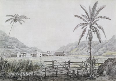 Halse Hall, Jamaika, n. 1780 (wc ja grafiitti paperilla) tekijältä English School