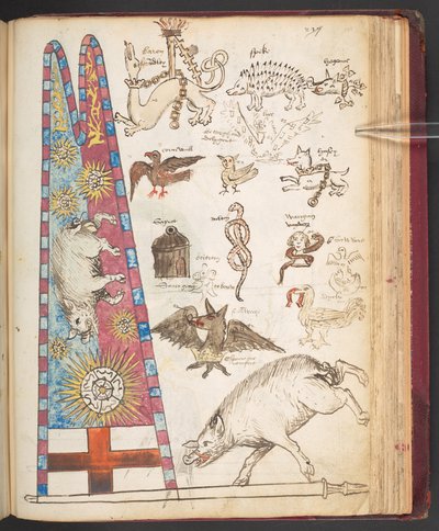 Harley 4632, f.242, Richard III:n banneri Bosworthissa sekä Yorkist sunburst (vellum) tekijältä English School