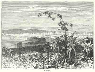 Havana (engraving) tekijältä English School