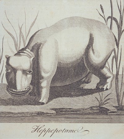 Virtahepo, The Gentlemans Magazinesta, julkaistu joulukuussa 1772 tekijältä English School