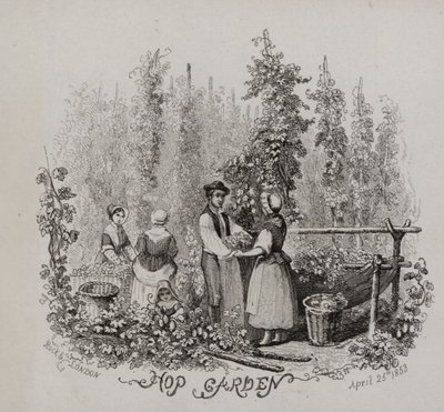 Humalapuutarha (kaiverrus) tekijältä English School