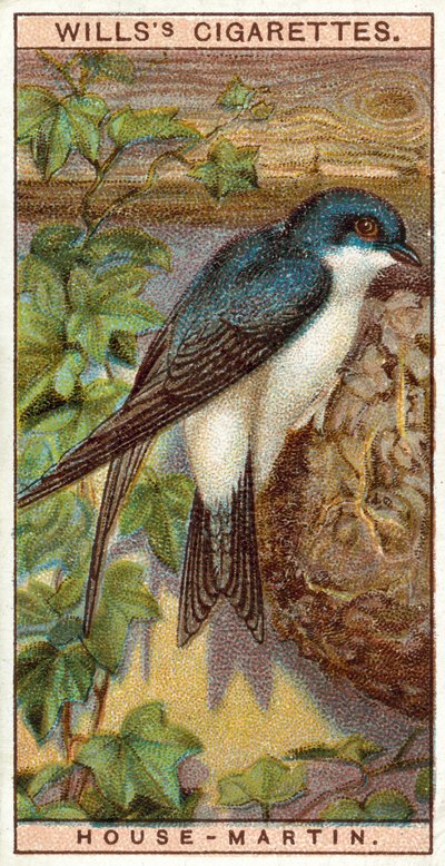 House-Martin tekijältä English School