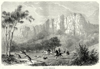 Kängurujagd von English School