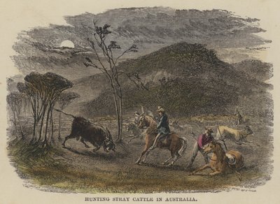 Kulkukarjan metsästys Australiassa (värillinen kaiverrus) tekijältä English School