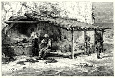 Tonnikalojen kalastajien majoja: Praeluccan lahti (kaiverrus). tekijältä English School