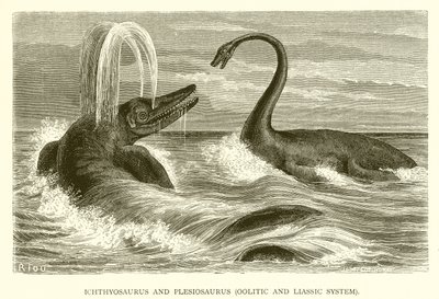 Ichthyosaurus ja Plesiosaurus, Oolitic ja Liassic System tekijältä English School